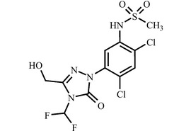 羥基甲磺草胺