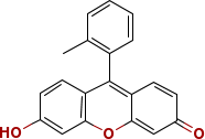 東京綠